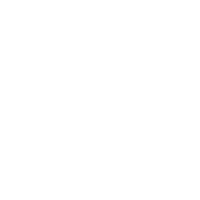 twitter icon