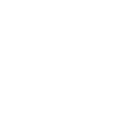 twitter icon